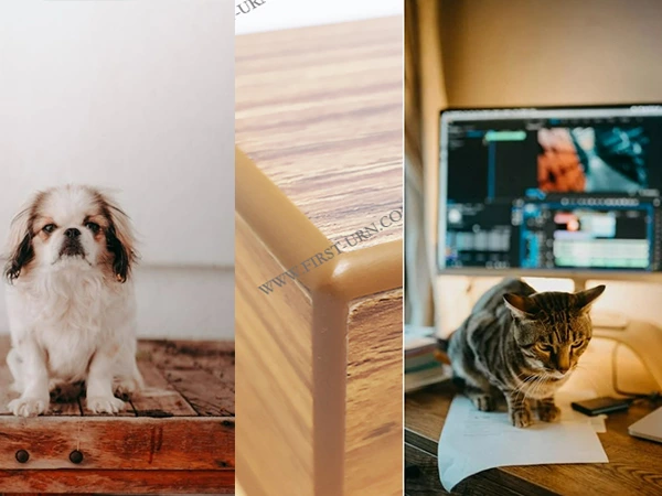 wooden pet urns-first-urn