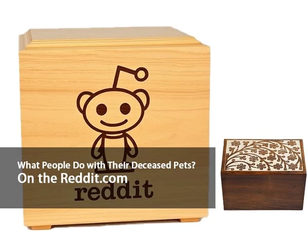 What People Do with Their Deceased Pets? On the Reddit.com